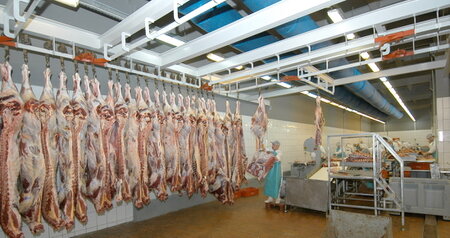 Дезинсекция на мясокомбинате в Зеленограде, цены на услуги