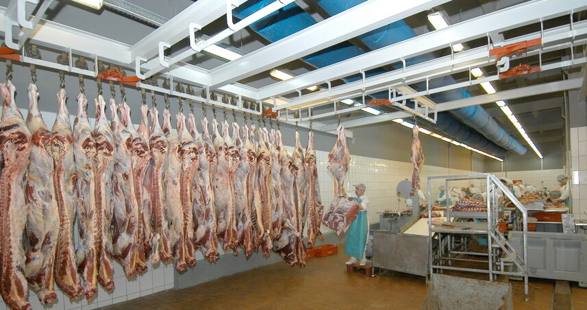 Дезинсекция на мясокомбинате в Зеленограде, цены на услуги